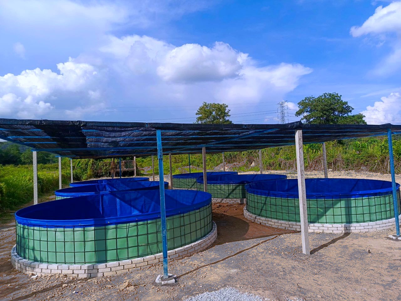Aquaculture Kolam Terpal