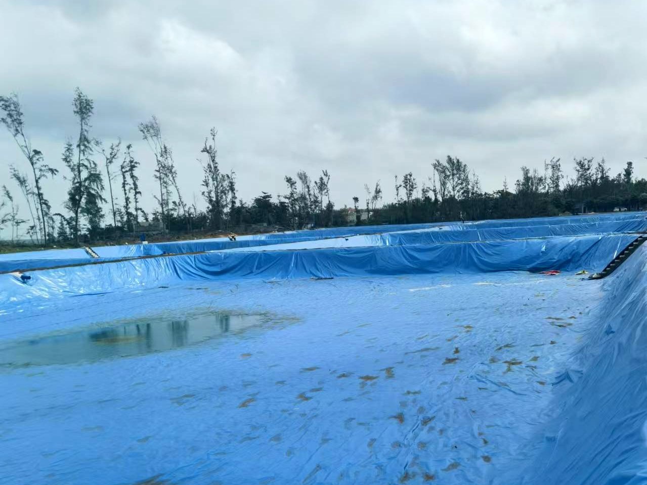Pemasangan liner kolam skala besar